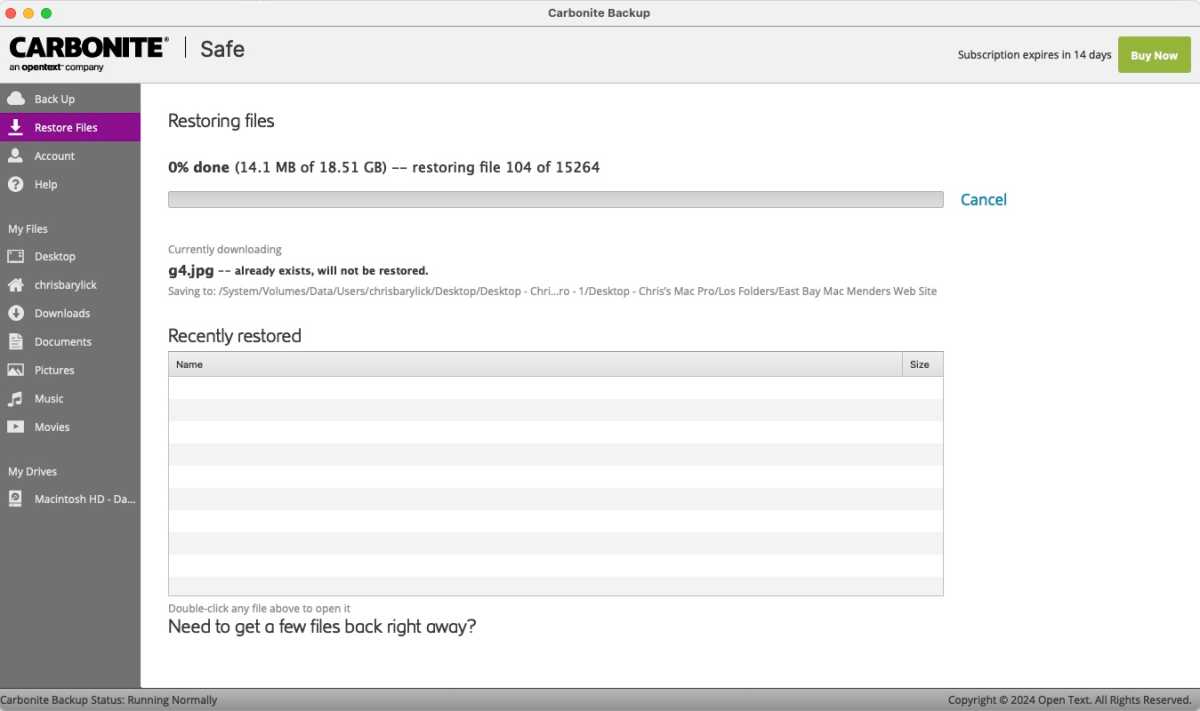 CarboniteSafe Restore files5