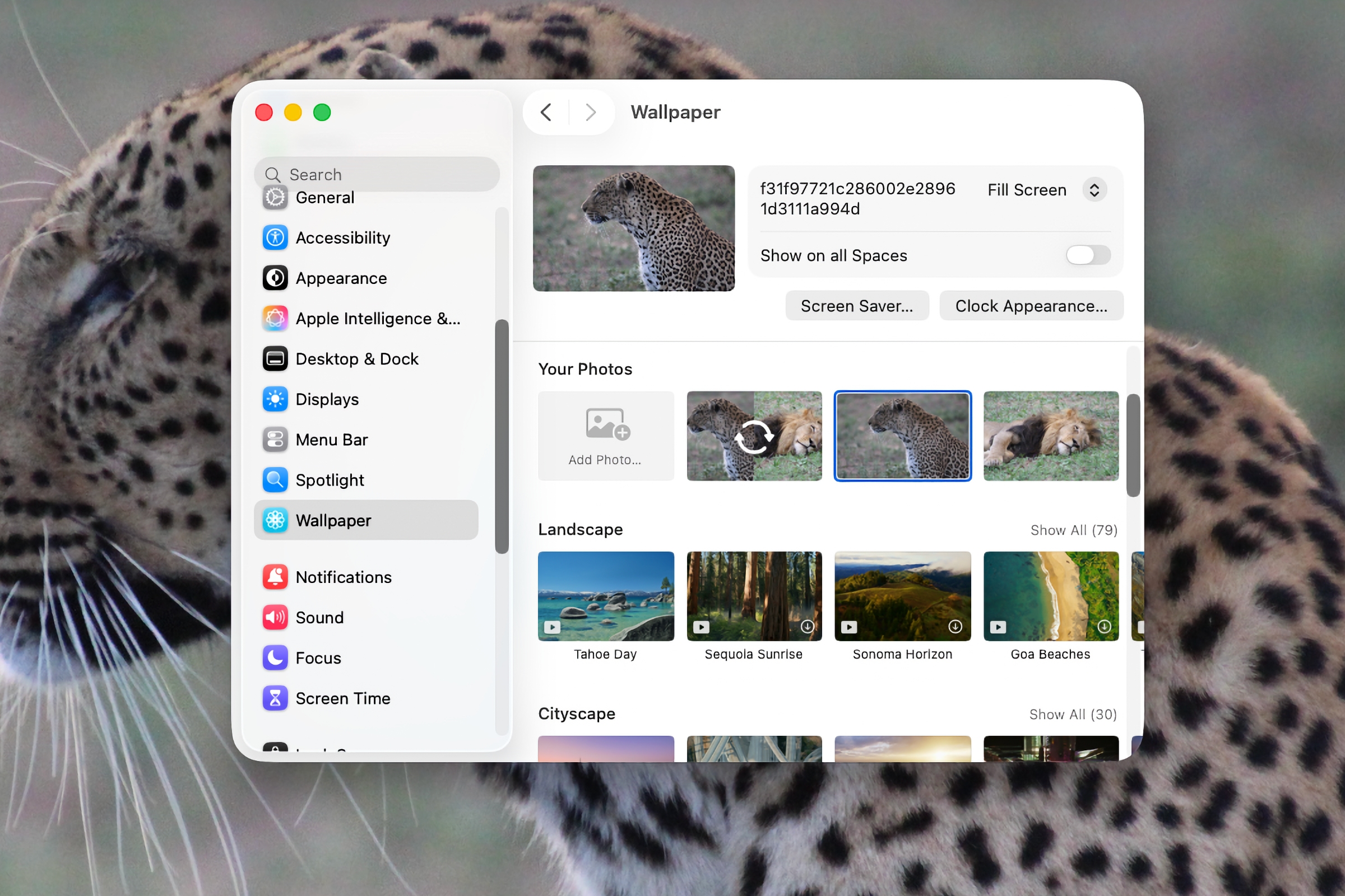 macOS Tahoe Wallpaper