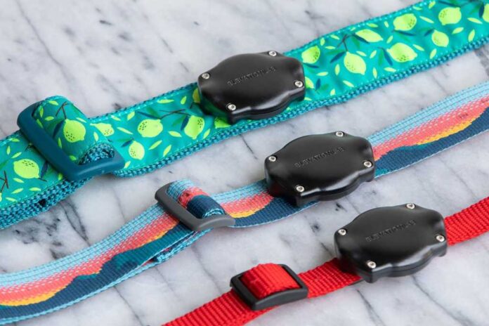 Apple doesn't want AirTag 2 tracking pets. Why not?