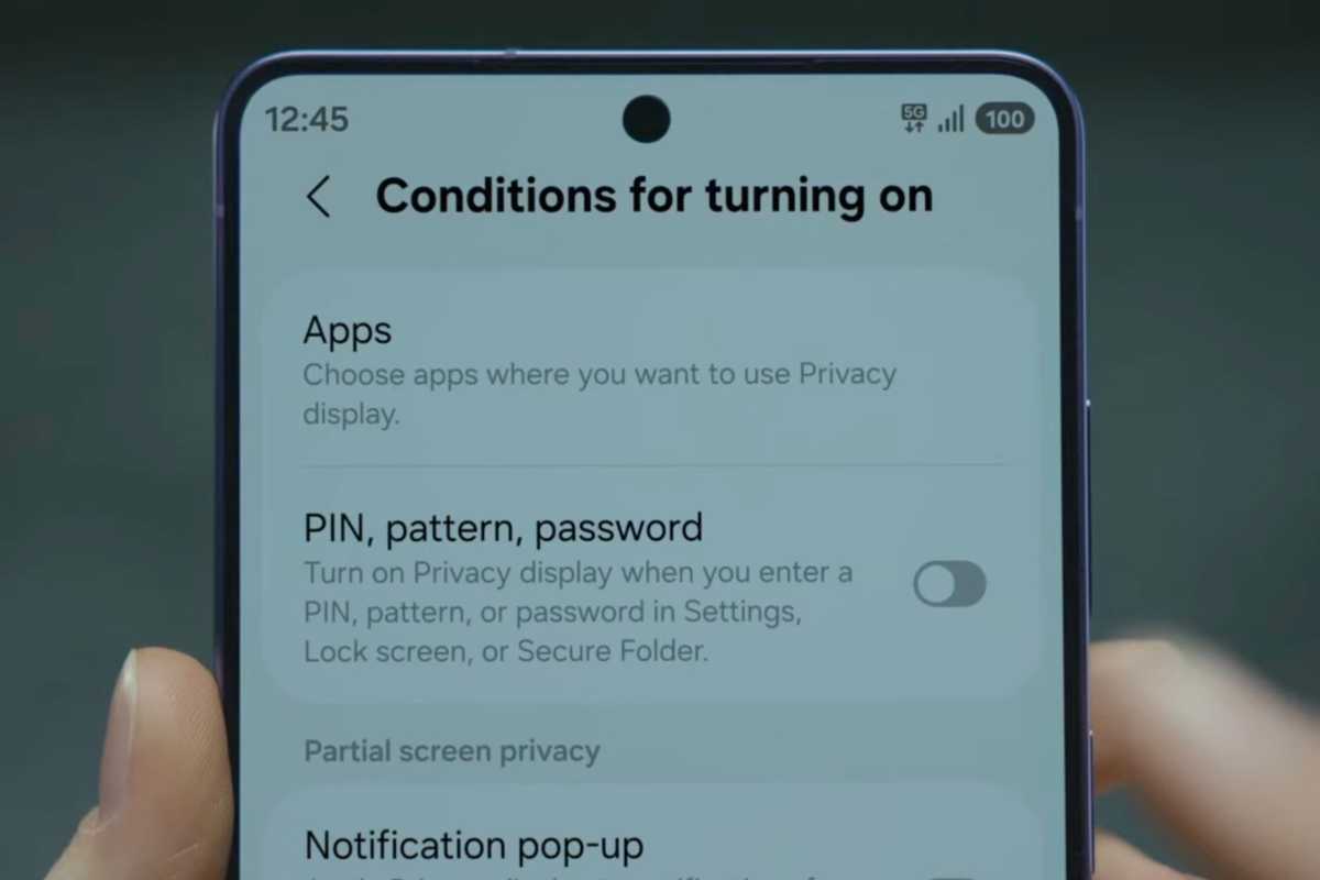 Customizing the Privacy Display