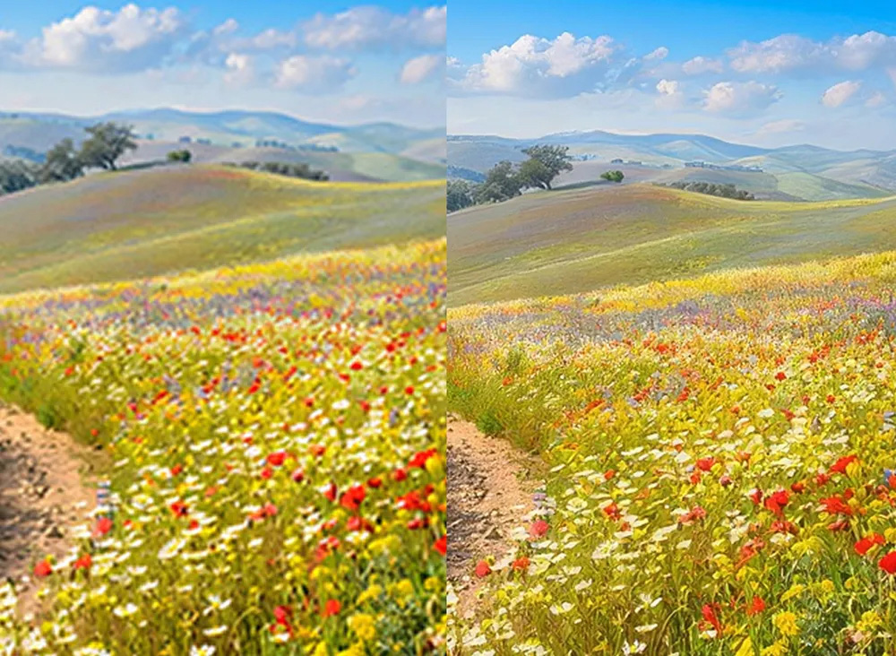 Adobe Firefly Upscale Images