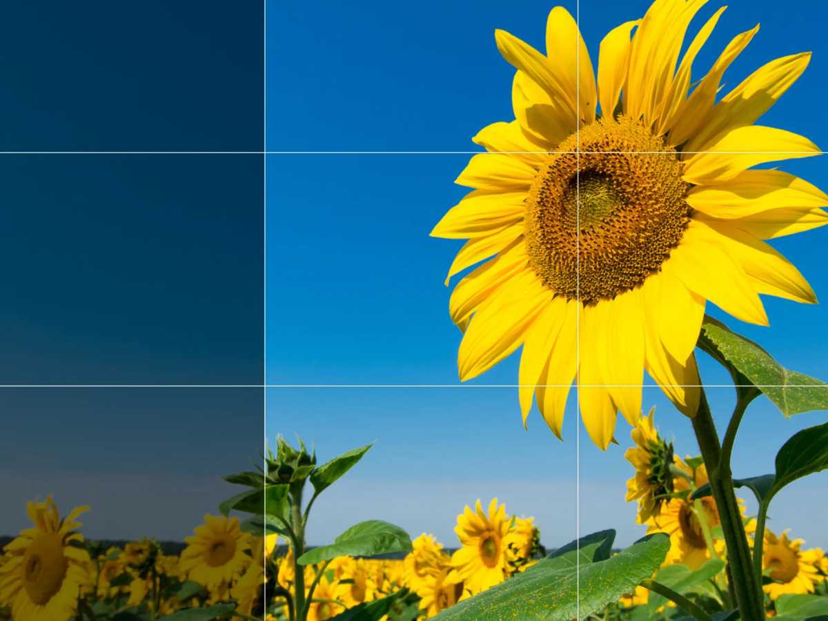 Adobe Firefly Image Expander