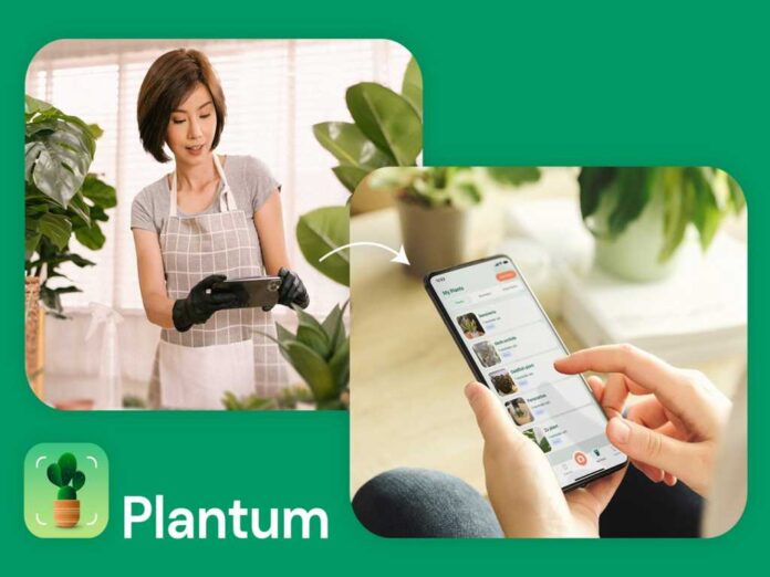 iOS customers, get a lifetime plant-care & identifier app for the worth of a small succulent—simply 