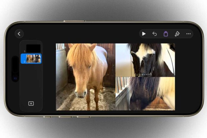 Create a collage from your personal pictures in your iPhone – freed from cost and with out adverts