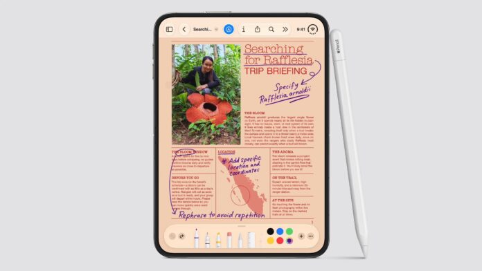 Apple’s new CEO simply went towards one thing Steve Jobs believed in with the iPhone Duo and I’m completely effective with that